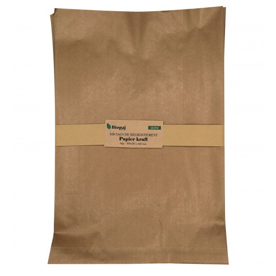 PAQUET 100 SACHETS KRAFT 60G 300+80X440mm