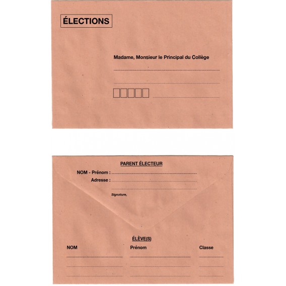 500 ENVELOPPES BULLE 114X162 / ELECTION COLLEGE
