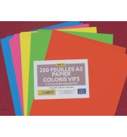 RAMETTE 5X50F REPRO 80G A3 COULEURS ASSORTIES VIVES