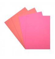 25 CHEMISES ROSES 170G EN CARTE RECYCLEE + 50 SOUS-CHEMISES 60G EN PAPIER RECYCLE