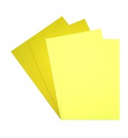 25 CHEMISES 170G JAUNE EN CARTE RECYCLEE + 50 SOUS-CHEMISES 60G EN PAPIER RECYCLE